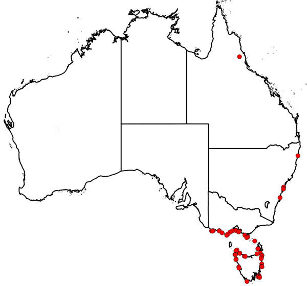 map: Bennett, Isobel Ida