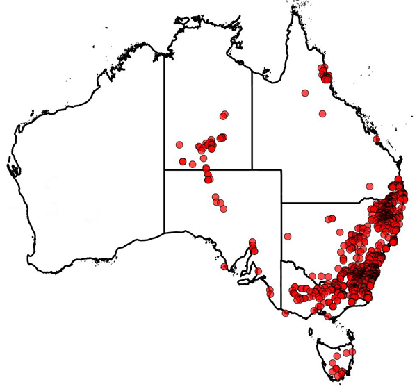 Max Gray map