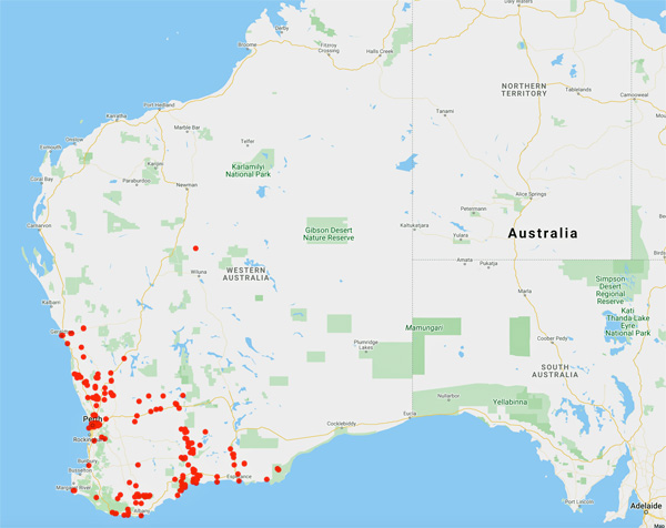 collecting locality map for 'Steedman, H.'