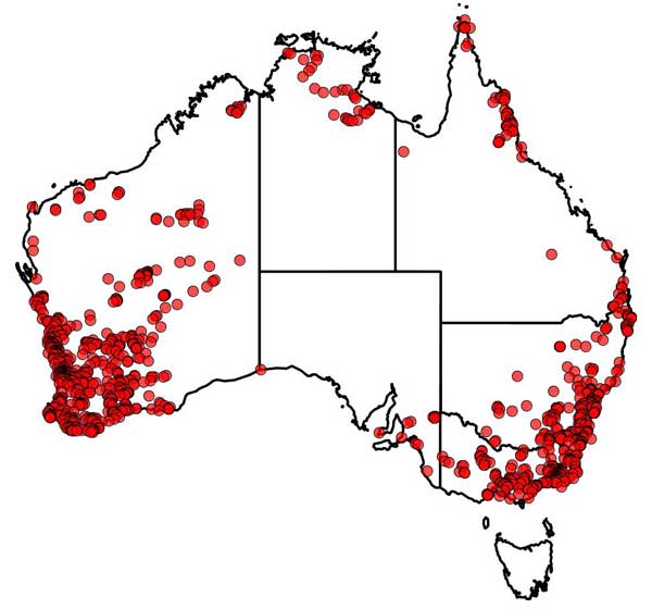 Thiele, K.R. map records