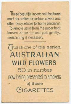 silk cigarette card 33 back