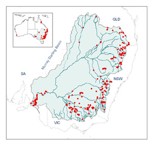 distribution map of Juncus usitatus - click to enlarge