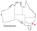 Grevillea rhyolitica distribution