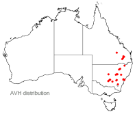 Melaleuca diosmatifolia distribution