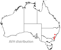 Eucalyptus gregsoniana map