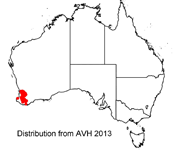 Distribution map for Grevillea leptobotrys