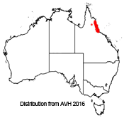 Banksia aquilonia distribution